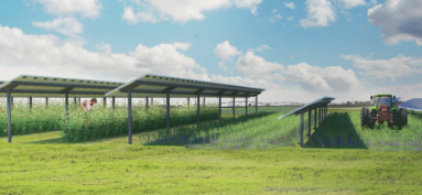 Appel à manifestation d’intérêt pour un projet agricole et photovoltaïque.